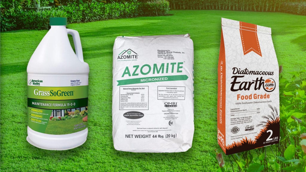 best lawn fertilizer reviews