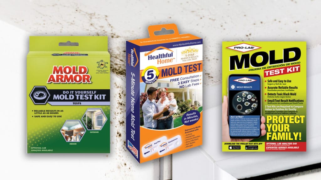 Top 10 Best Mold Test Kit: 2020 Reviews & Buying Guide