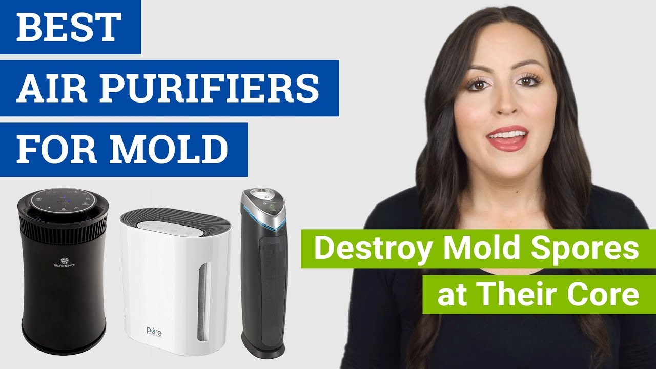 Air purifier for mold